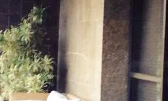 Imagem 2: Apartamento para aluguel possui 374 metros quadrados com 3 quartos em Lagoa - Rio de Janei