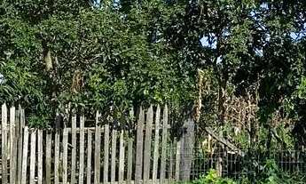 Imagem 2: Casa em São Francisco de Itabapoana