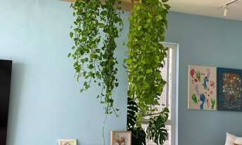 Imagem: Apartamento Beira Mar Candeias - Porteira