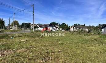 Imagem 5: Lote em Rua São Francisco de Assis - Querência - São Francisco de Paula/RS