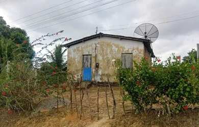 Imagem 4: SITIO - ORICURI ATALAIA - AL