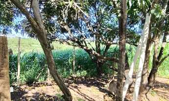 Imagem 4: Chácara próximo a montes claros