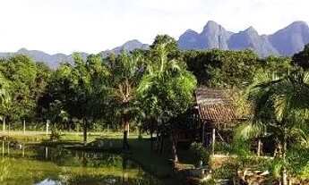 Imagem 5: Chácara com piscina, tanque de peixe em Antonina Rio do nunes