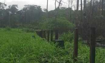 Imagem 5: Fazenda de 900 hectares Rorainópolis. ler descrição do anuncio