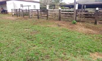 Imagem 7: Fazenda Sul da Bahia. Guaratinga