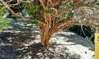 Imagem 7: Oportunidade! Chácara em Condomínio Escriturada!