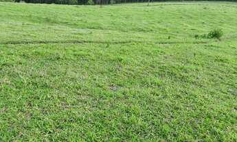 Imagem 6: Terreno a venda em cotia