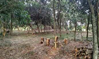 Imagem 3: Sítio, chácara 2 hectares 21 mil metros