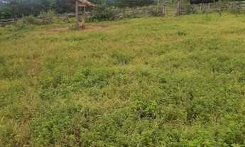 Imagem 4: Fazendinha Pecuária!!!As margens Do Pacuí!!!! Ótima ESTRUTURA E PREÇO!!!