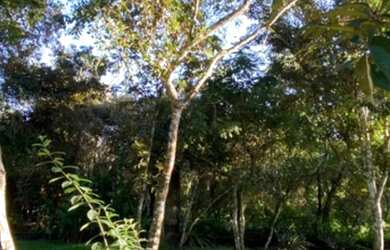 Imagem 7: Sítio à venda com casa principal e casa do caseiro em Guaramiranga!