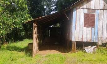 Imagem 3: São Francisco de Paula - Sítio - Samambaia