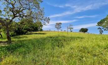 Imagem 3: Chácara em Goianesia