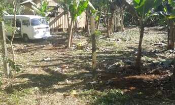 Imagem 3: Chácara com 15.000m2 Morretes - Antonina