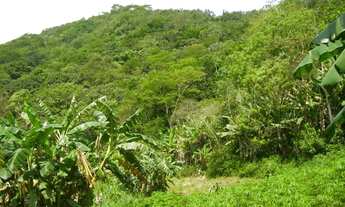 Imagem 4: Sítio com 50.000 m² e Cachoeira no Rio da Prata