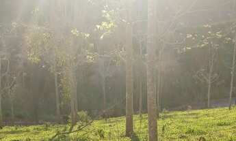 Imagem 6: Chácara em Parajú Domingos Martins