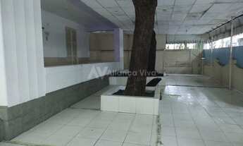 Imagem 4: Laranjeiras Casa com 5 dormitórios