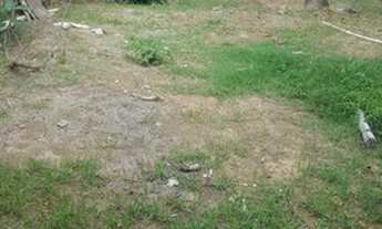 Imagem 3: BELO HORIZONTE - Terreno Padrão - Etelvina Carneiro