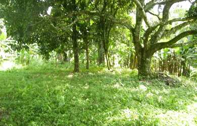 Imagem 5: Sítio com 50.000 m² e Cachoeira no Rio da Prata