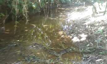 Imagem 6: Chácara com 15.000m2 Morretes - Antonina