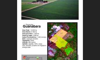 Imagem 4: Fazenda guanabara 13 mil hectares