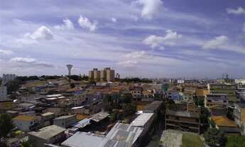 Imagem 6: São Paulo - Apartamento Padrão - Vila Amélia