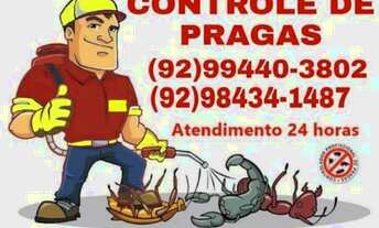 Imagem: DEDETIZAÇÃO COMPLETA