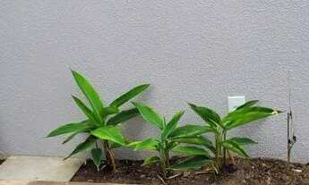 Imagem 3: Vendo ou alugo linda casa no Parque Ohara, com 180 m², 3 quartos!