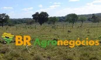 Imagem: Oportunidade Fazenda de 38 Alqueires