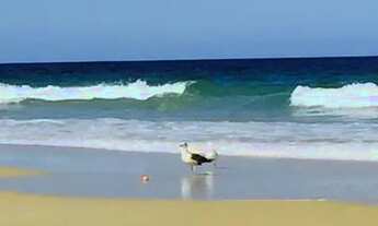 Imagem 6: Apto 2 qtos em Resort!Decorado e totalmente montado