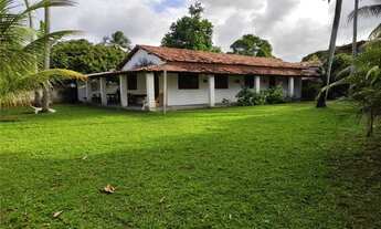 Imagem: Casa com 3 dormitórios para alugar anual