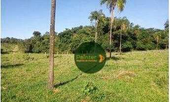 Imagem 3: Fazenda à venda, 82 hectares por R$ 3.200.000 - Zona Rural - Luziânia/GO