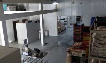 Imagem 6: Pavilhão 550 mts2