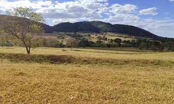 Imagem 4: Fazenda em santa Rosa