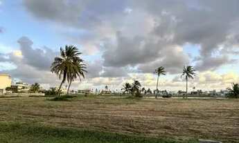 Imagem 7: Dahma Residence oportunidade