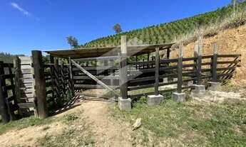 Imagem 6: Vende-se Terreno com 246.000m² em Aracê, Domingos Martins