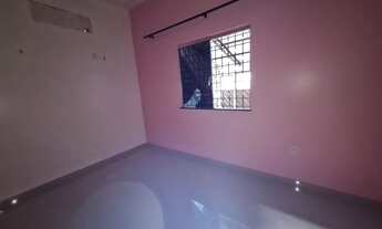 Imagem 3: Aluguel na Cidade Nova