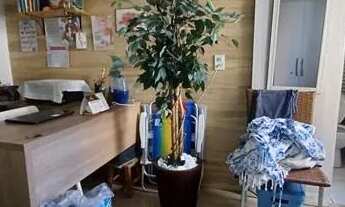 Imagem 7: ÁREA NOBRE - Entre Oswaldo Cruz e Visconde de Mauá por esse preço? Vale a pena conhecer. O