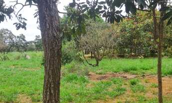 Imagem 2: Sítio 3 mil metros! Próximo a Brasília - Palmital MG