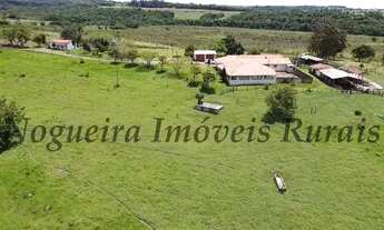 Imagem 11: Fazenda em Itapetininga, rica em água (Nogueira Imóveis Rurais