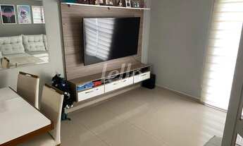 Imagem 3: São Paulo - Casa Padrão - Penha