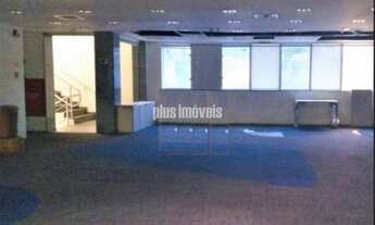 Imagem 3: PINHEIROS! OPORTUNIDADE!