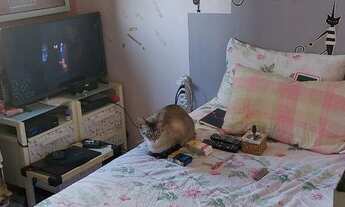 Imagem 5: Apto Pinheiros/SP, 2 dorms, 1 vaga - Excelente localização