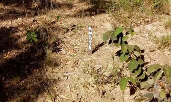 Imagem 6: Lote corumba 3(aceito propostas)