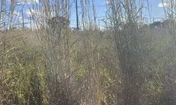 Imagem 2: LOTE URUAÇU- PROX AO HOSPITAL Lote à Venda, 300 por R$ 180.000 no setor RECANTO DOS IPES