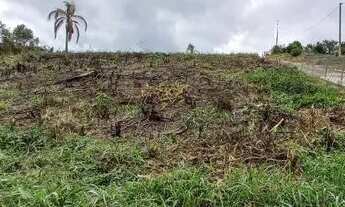 Imagem 5: Chácara de 5.000 m2