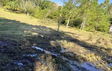 Imagem 3: Sítio Plano E Com Nascente Para Fazer Açude. ROB:899