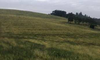 Imagem: O terreno que você procura!