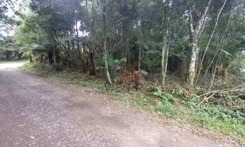 Imagem 3: Terreno no bairro Alpes Verdes em Canela!