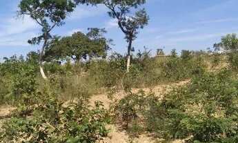 Imagem 7: Vendo chácara 4000m2 Valor 40.000 mais prestações