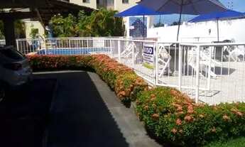 Imagem 5: Caminho das Águas